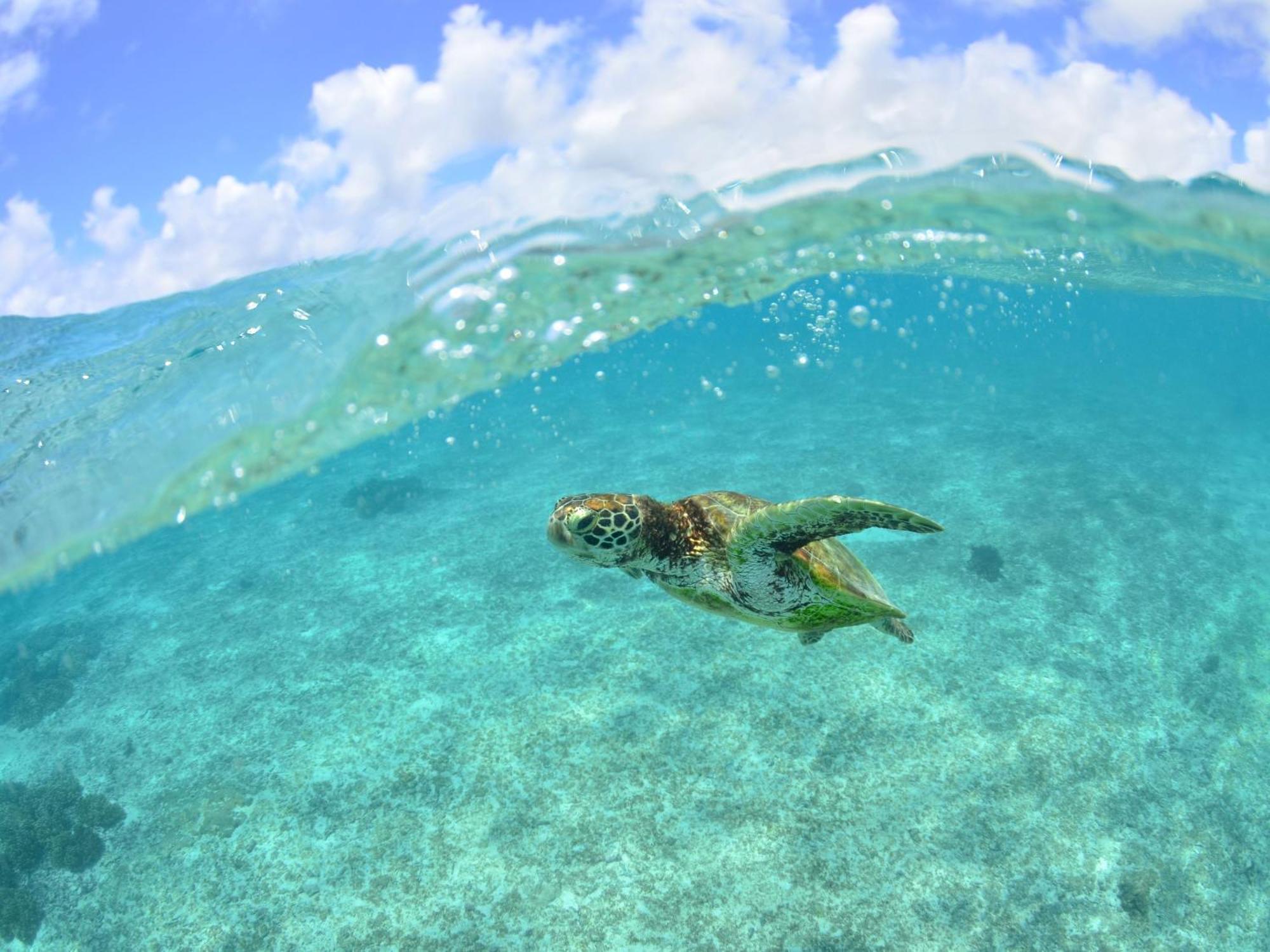 Готель Hot Cross Point Santa Monica Miyakojima  Екстер'єр фото