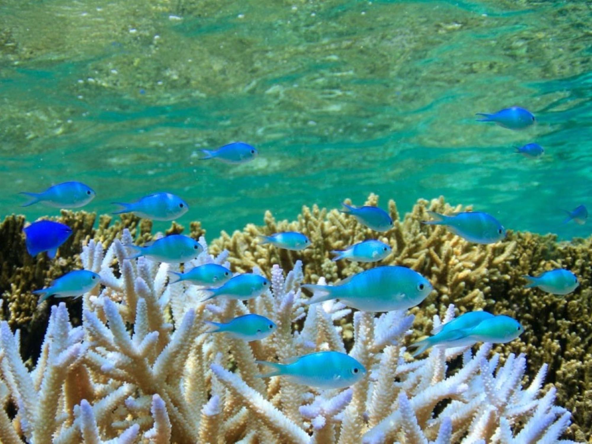 Готель Hot Cross Point Santa Monica Miyakojima  Екстер'єр фото