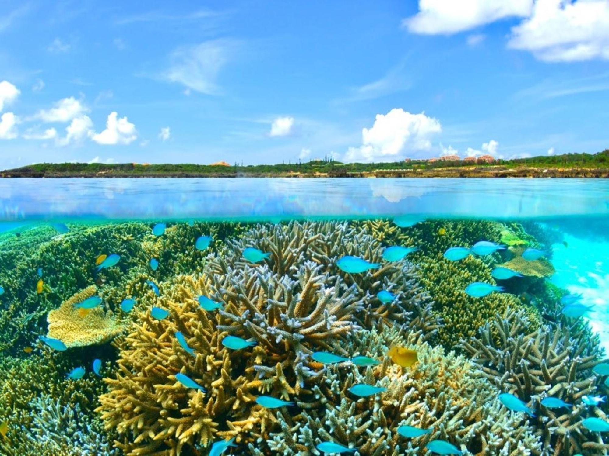 Готель Hot Cross Point Santa Monica Miyakojima  Екстер'єр фото